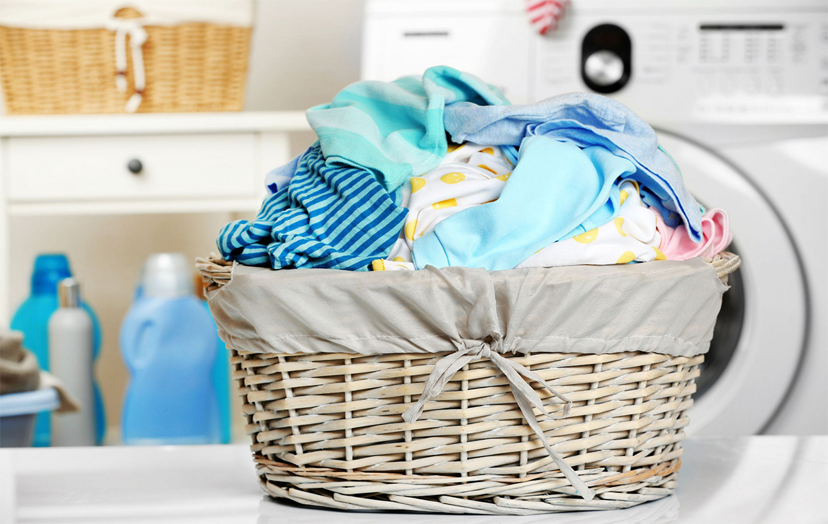  Introducing organic laundry detergent + the best purchase price 