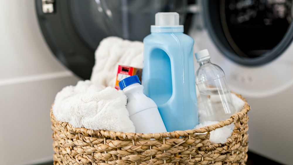  Purchase and day price of hygiene laundry detergent 