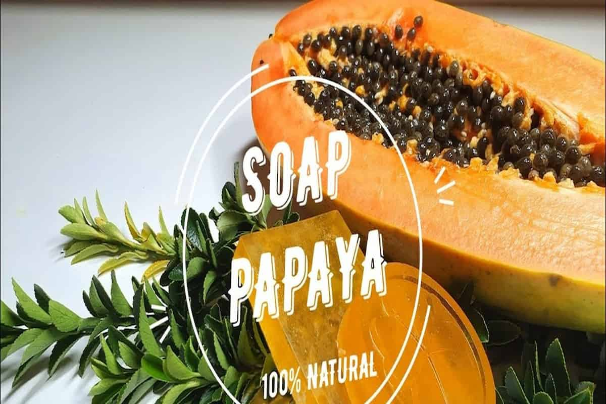  Papaya Soap in Sri Lanka (Softener) Skin Pigmentation Disorders Dark Spots Scars 